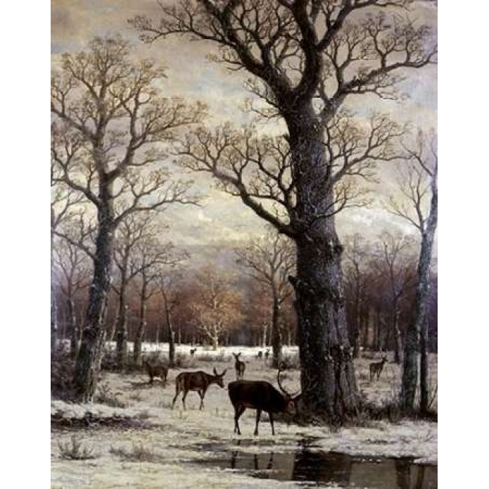 Deer Foraging Winter Poster Print by Unknown -VARPDX280796 Image 2