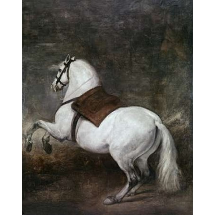 A White Horse Poster Print by Diego Velazquez-VARPDX281402 Image 2