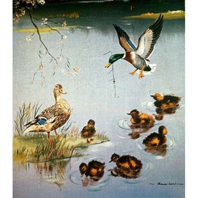 Mallards Poster Print by Edward Matthew Ward-VARPDX281462 Image 1