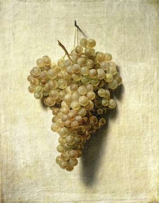 White Grapes - Raisons Blancs Poster Print by Louis Leopold Boilly-VARPDX281741 Image 1