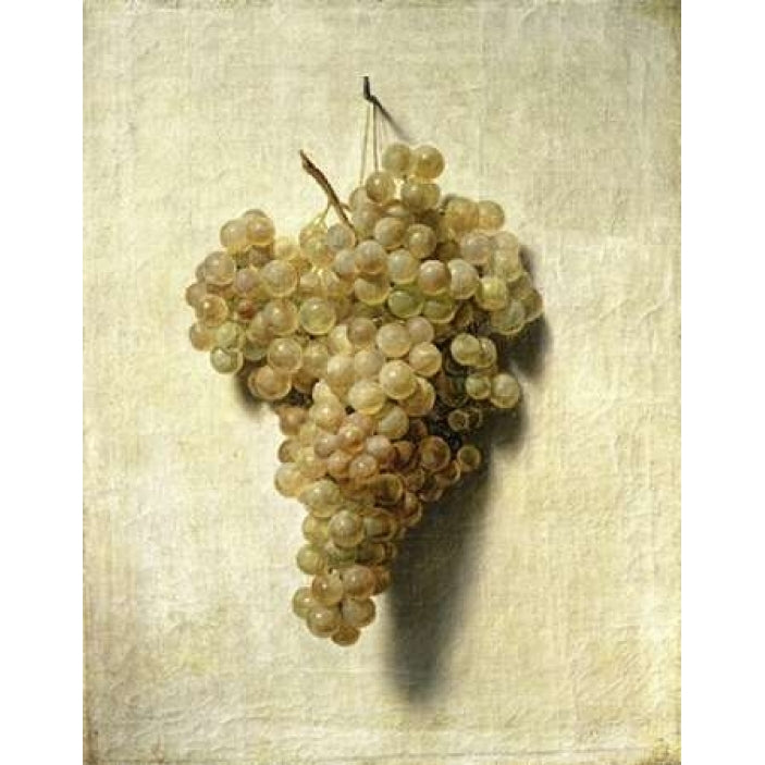 White Grapes - Raisons Blancs Poster Print by Louis Leopold Boilly-VARPDX281741 Image 2