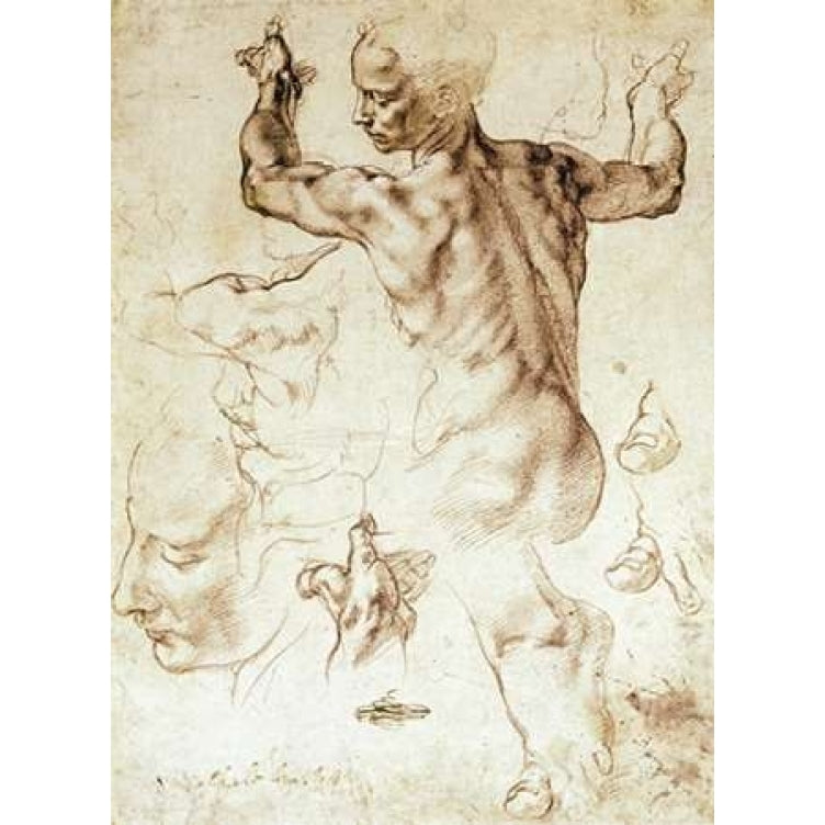 Anatomy Sketches - Libyan Sibyl Poster Print by Michelangelo -VARPDX282511 Image 1