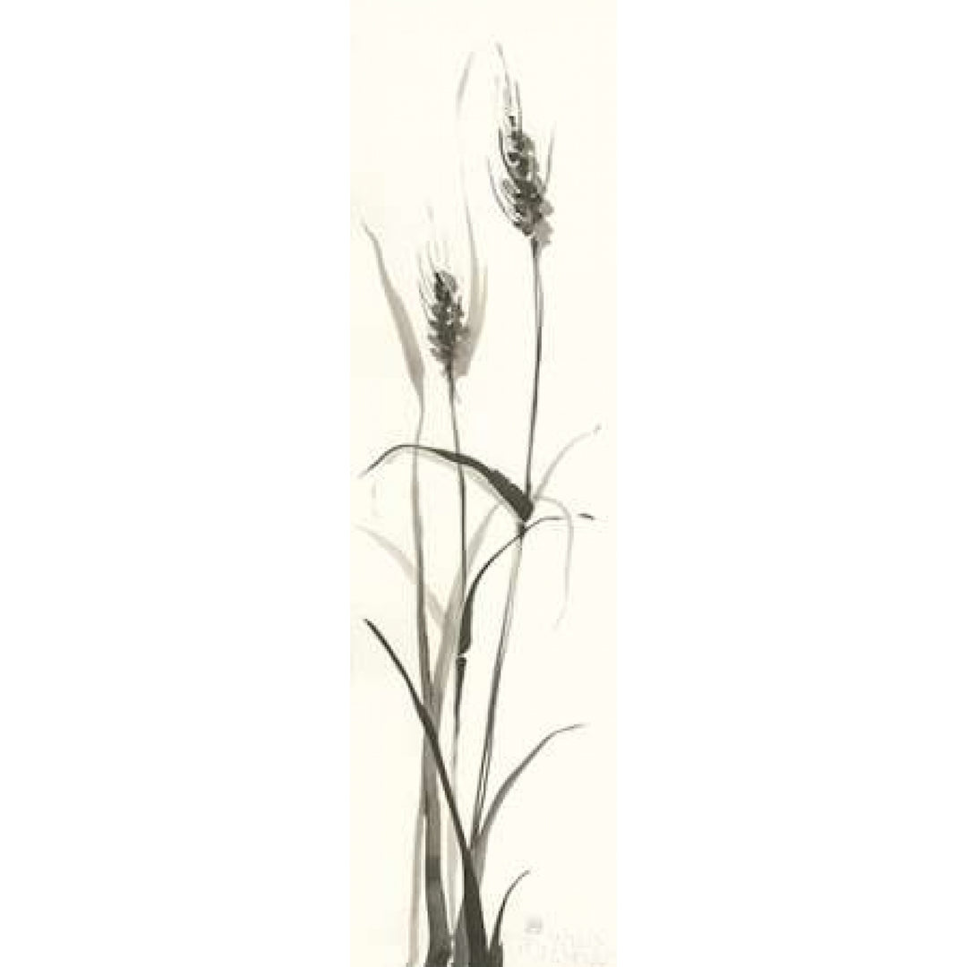 Wild Grass I Poster Print by Chris Paschke-VARPDX28393 Image 2