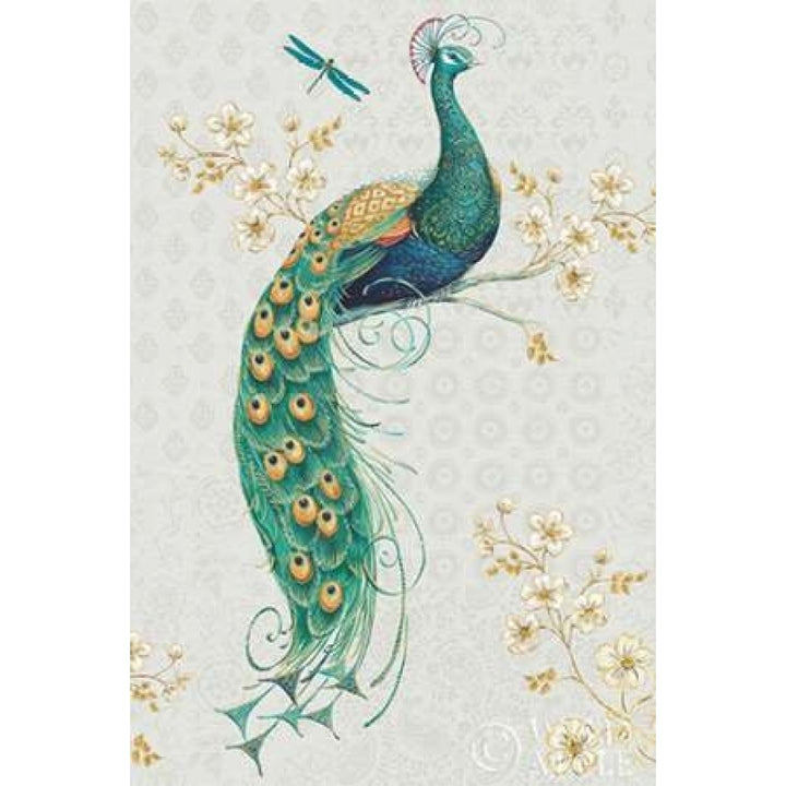 Ornate Peacock IXA Poster Print by Daphne Brissonnet-VARPDX28572 Image 1