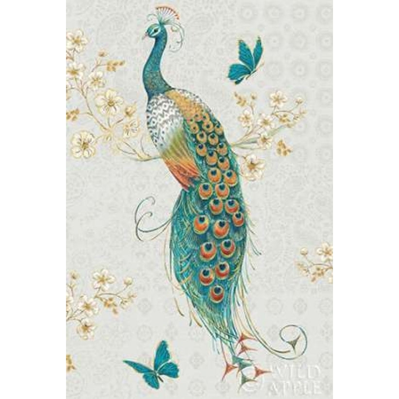 Ornate Peacock IXA Poster Print by Daphne Brissonnet-VARPDX28573 Image 1