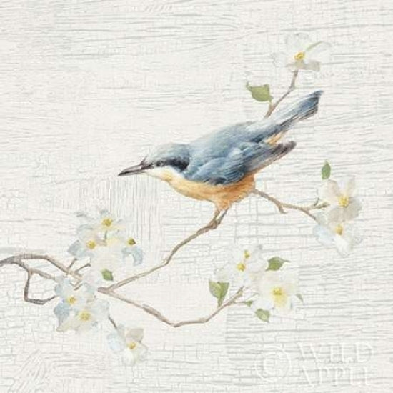 Nuthatch Vintage Poster Print by Danhui Nai-VARPDX28601 Image 2