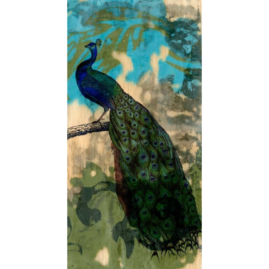 Rustic Peacock II Poster Print - Jennifer Goldberger-VARPDX28629Z Image 1