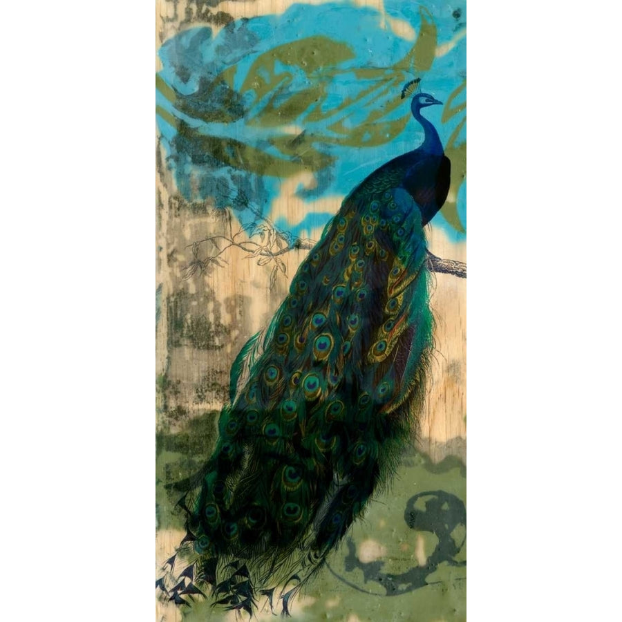 Rustic Peacock I Poster Print - Jennifer Goldberger-VARPDX28628Z Image 1