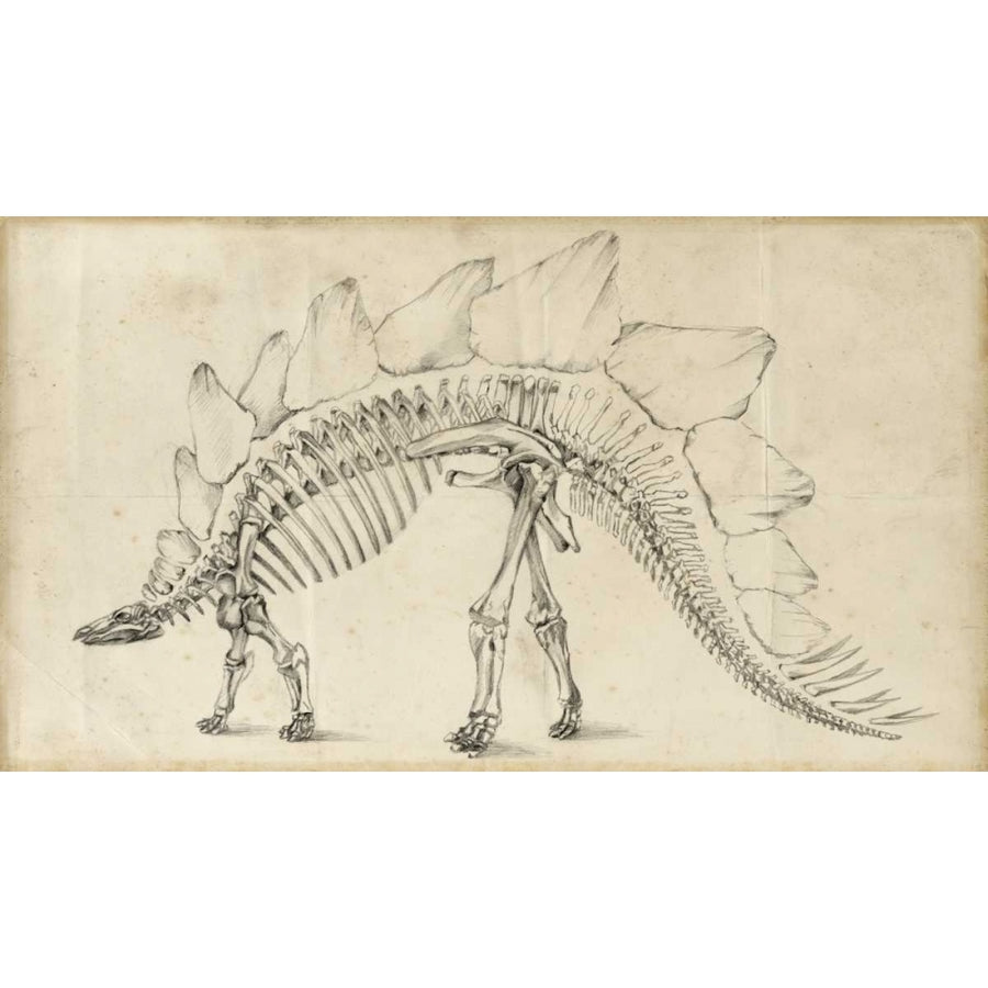 Dinosaur Study III Poster Print - Ethan Harper-VARPDX28738Z Image 1