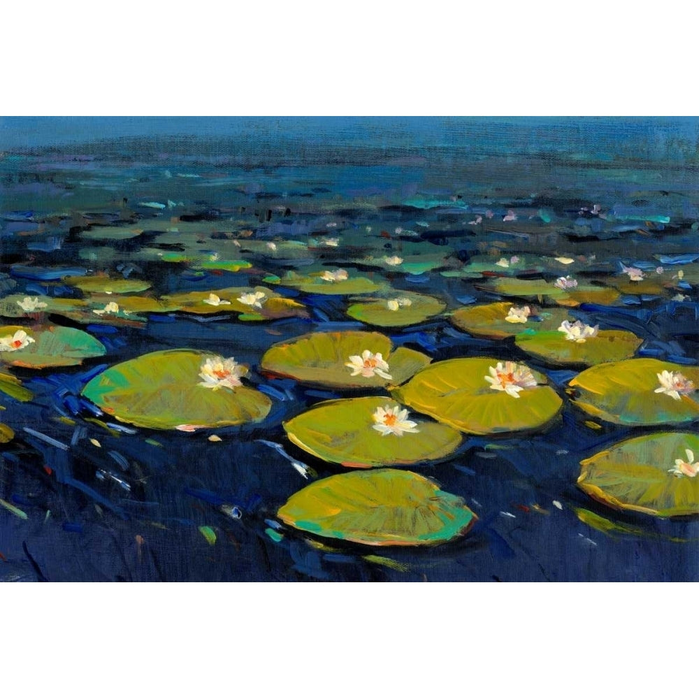 Lily Pads I Poster Print - Tim OToole-VARPDX28776Z Image 1