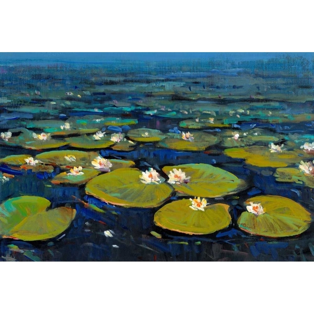 Lily Pads II Poster Print - Tim OToole-VARPDX28777Z Image 1