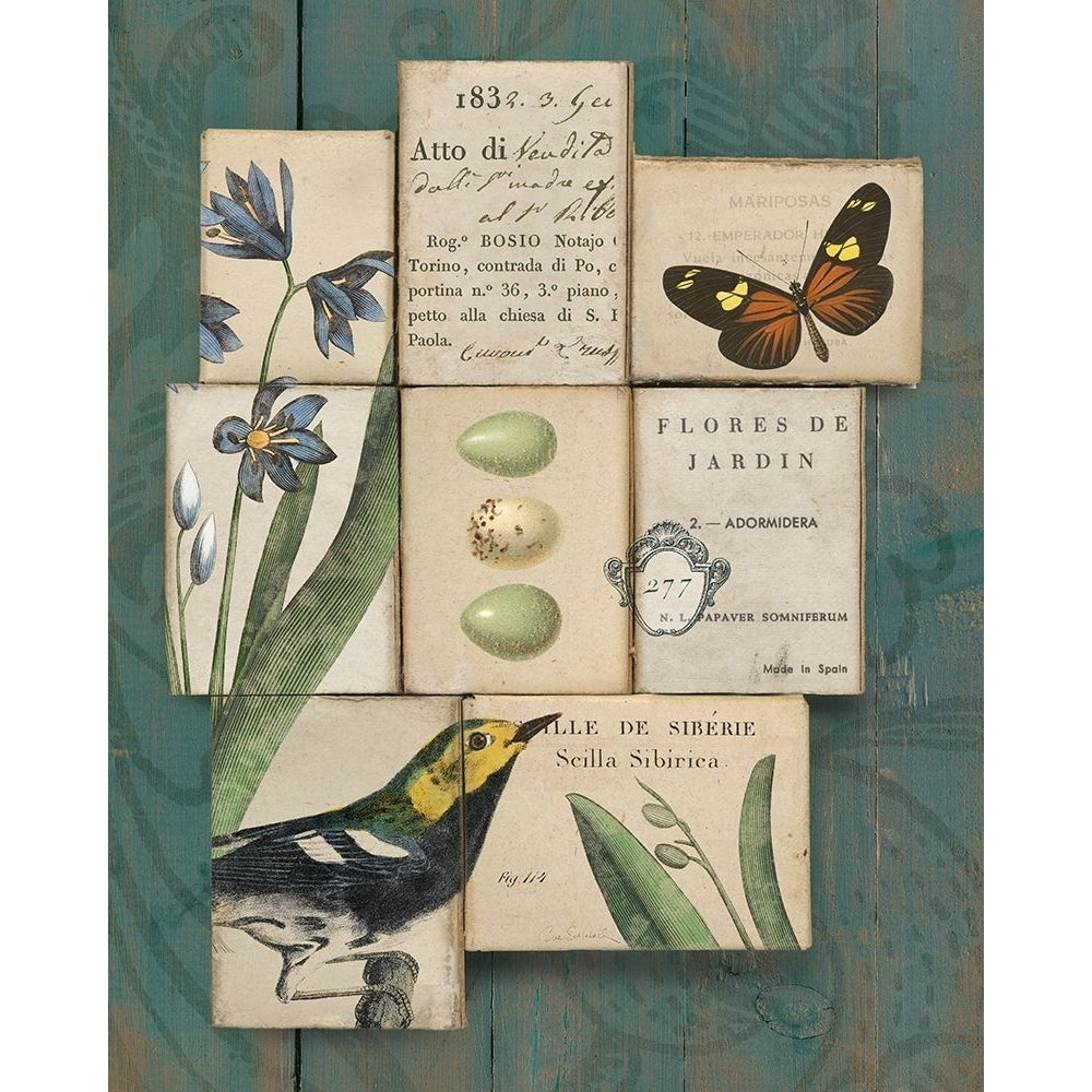 Birds and Butterflies I Poster Print - Sue Schlabach-VARPDX2883 Image 1