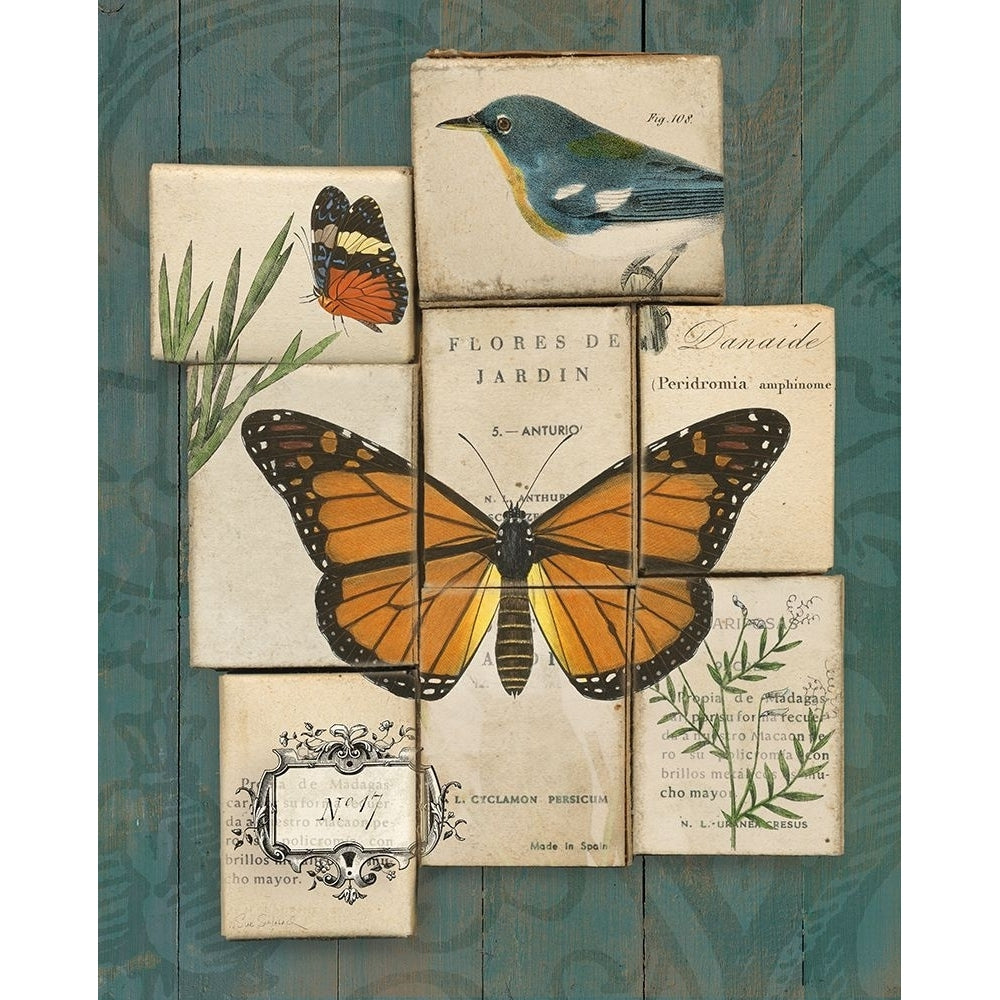 Birds and Butterflies II Poster Print - Sue Schlabach-VARPDX2884 Image 1