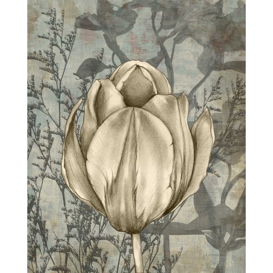 Tulip and Wildflowers I Poster Print - Jennifer Goldberger-VARPDX29029Z Image 1