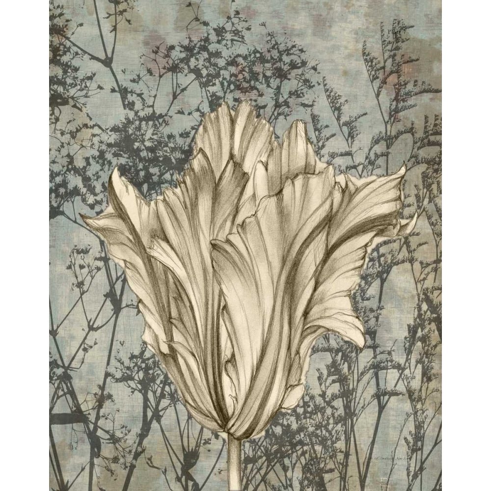 Tulip and Wildflowers V Poster Print - Jennifer Goldberger-VARPDX29033Z Image 1