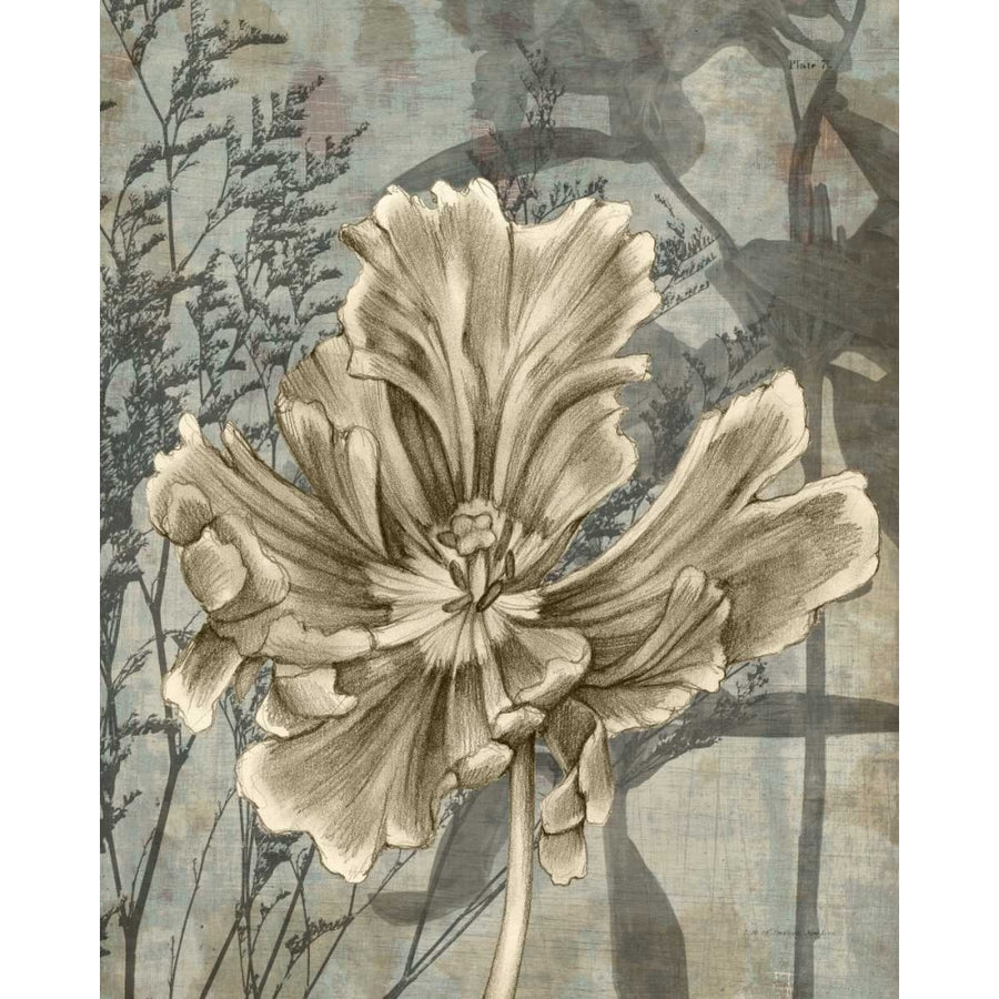 Tulip and Wildflowers II Poster Print - Jennifer Goldberger-VARPDX29030Z Image 1