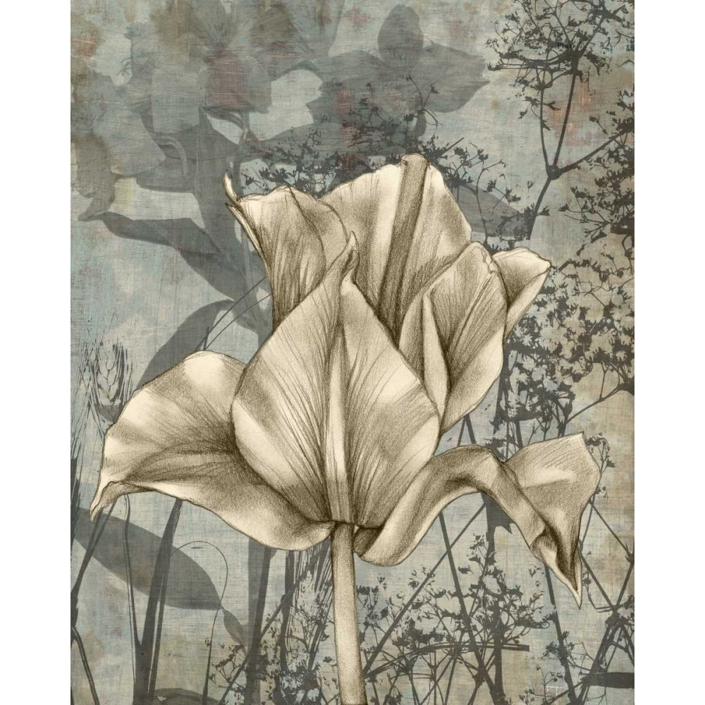 Tulip and Wildflowers IV Poster Print - Jennifer Goldberger-VARPDX29032Z Image 1