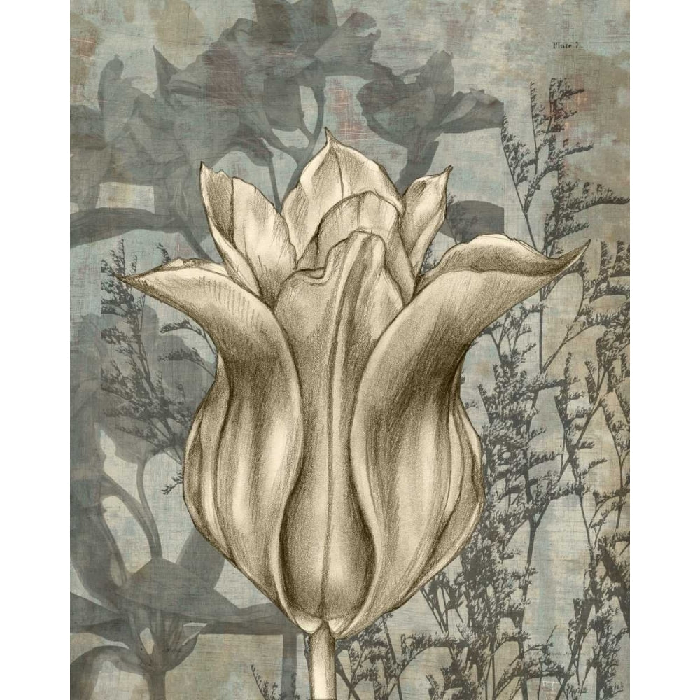 Tulip and Wildflowers III Poster Print - Jennifer Goldberger-VARPDX29031Z Image 1