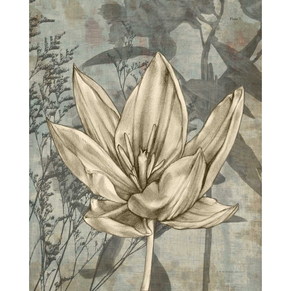 Tulip and Wildflowers VI Poster Print - Jennifer Goldberger-VARPDX29034Z Image 1