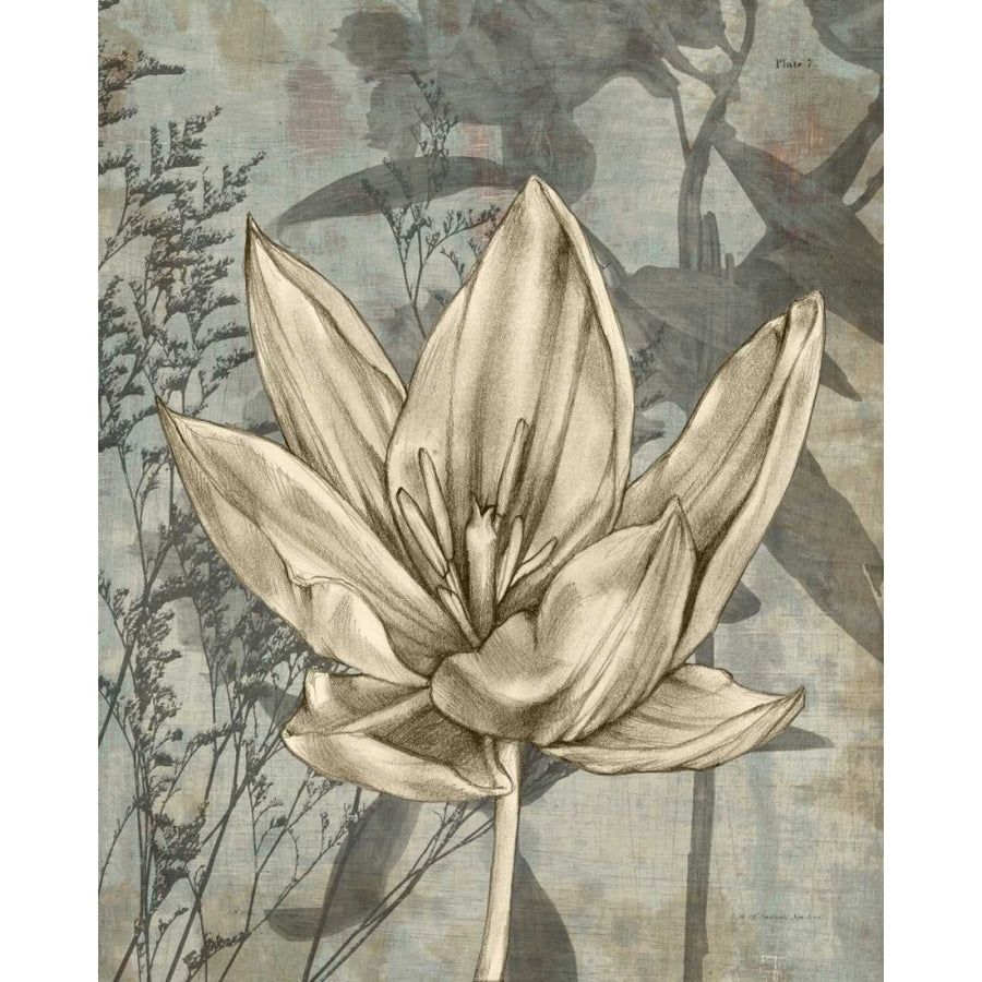 Tulip and Wildflowers VI Poster Print - Jennifer Goldberger-VARPDX29034Z Image 1