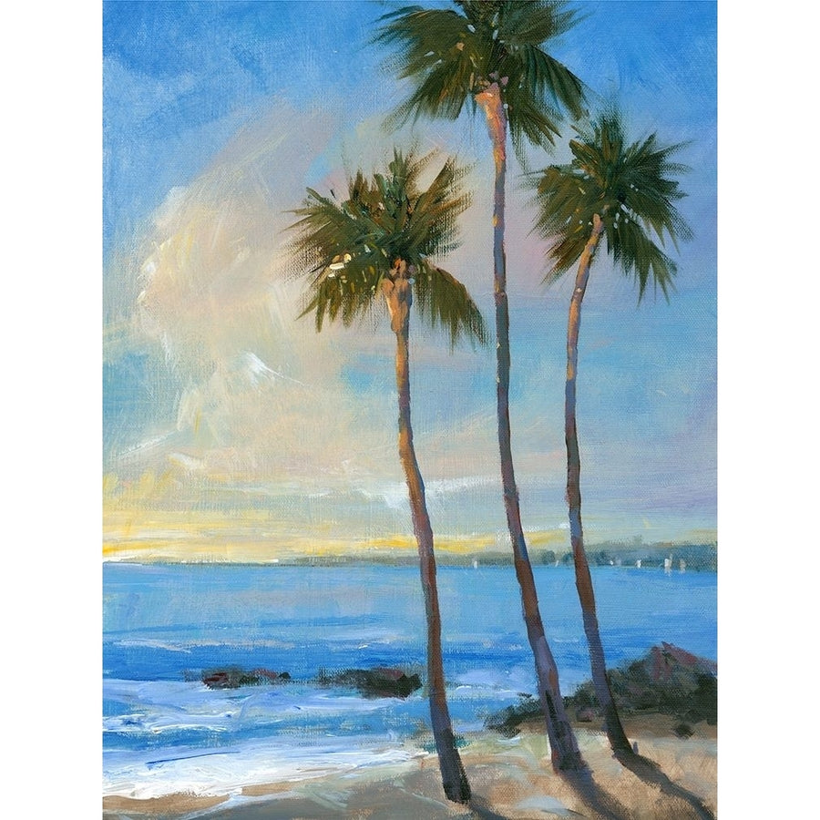 Tropical Breeze II Poster Print - Tim OToole-VARPDX29077FN Image 1