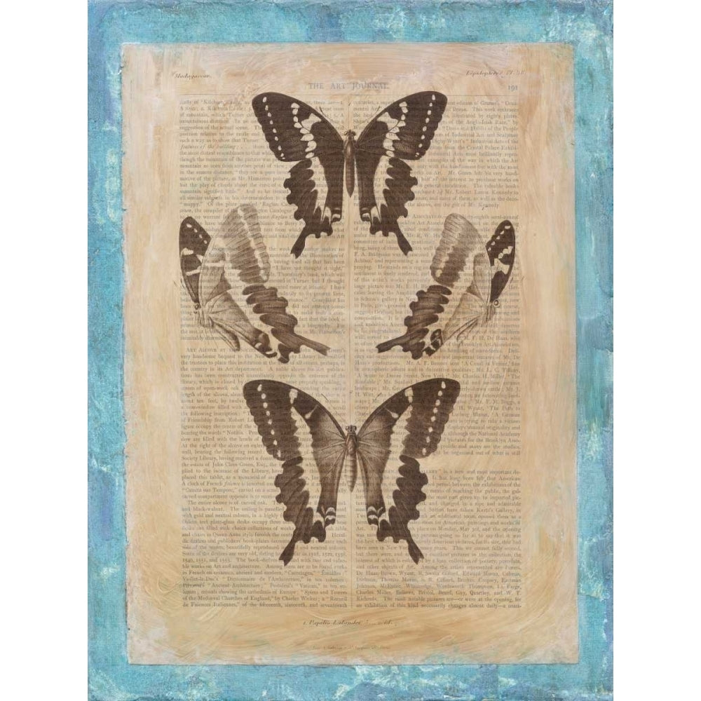 Bookplate Butterflies I Poster Print - Studio Vision-VARPDX29172Z Image 1