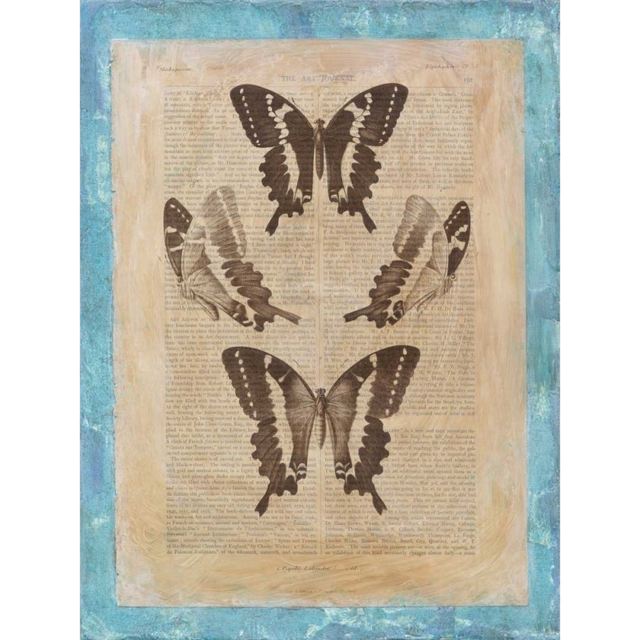 Bookplate Butterflies I Poster Print - Studio Vision-VARPDX29172Z Image 1