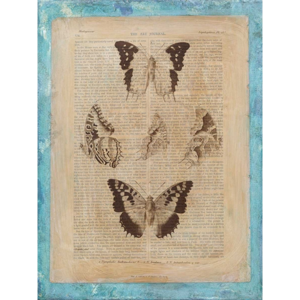 Bookplate Butterflies IV Poster Print - Studio Vision-VARPDX29175Z Image 1