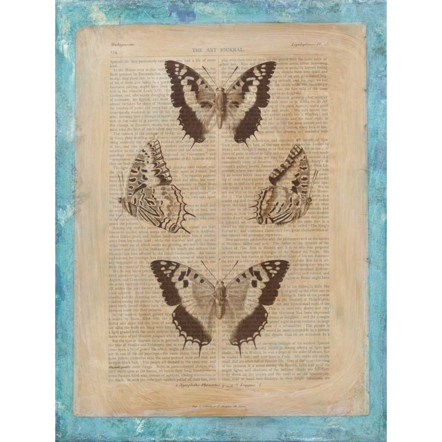 Bookplate Butterflies II Poster Print - Studio Vision-VARPDX29173Z Image 1