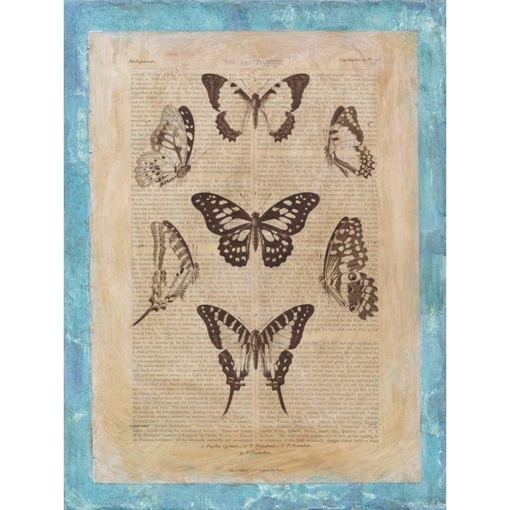 Bookplate Butterflies III Poster Print - Studio Vision-VARPDX29174Z Image 1