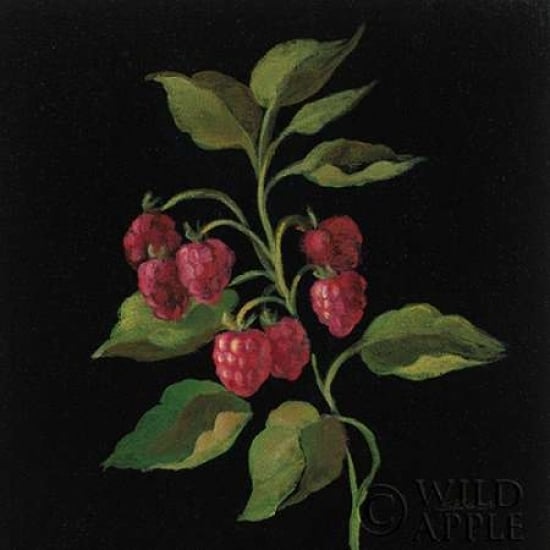 Framboise no Words Poster Print by Silvia Vassileva-VARPDX29207 Image 1