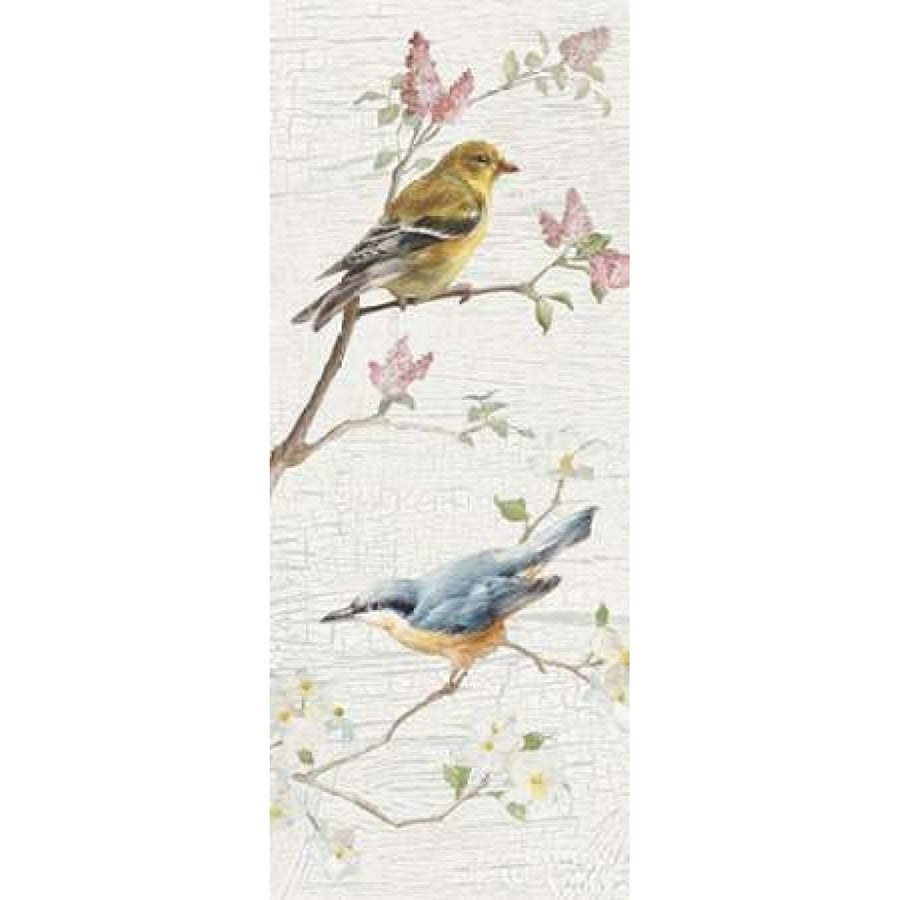 Vintage Birds Panel I Poster Print by Danhui Nai-VARPDX29245 Image 1