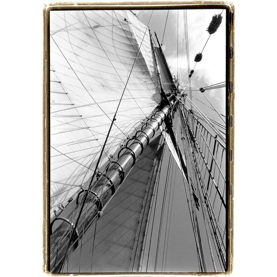 Set Sail II Poster Print - Laura DeNardo-VARPDX29280F Image 1