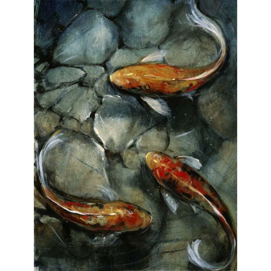 Tres Koi I Poster Print - Tim OToole-VARPDX29356Z Image 1