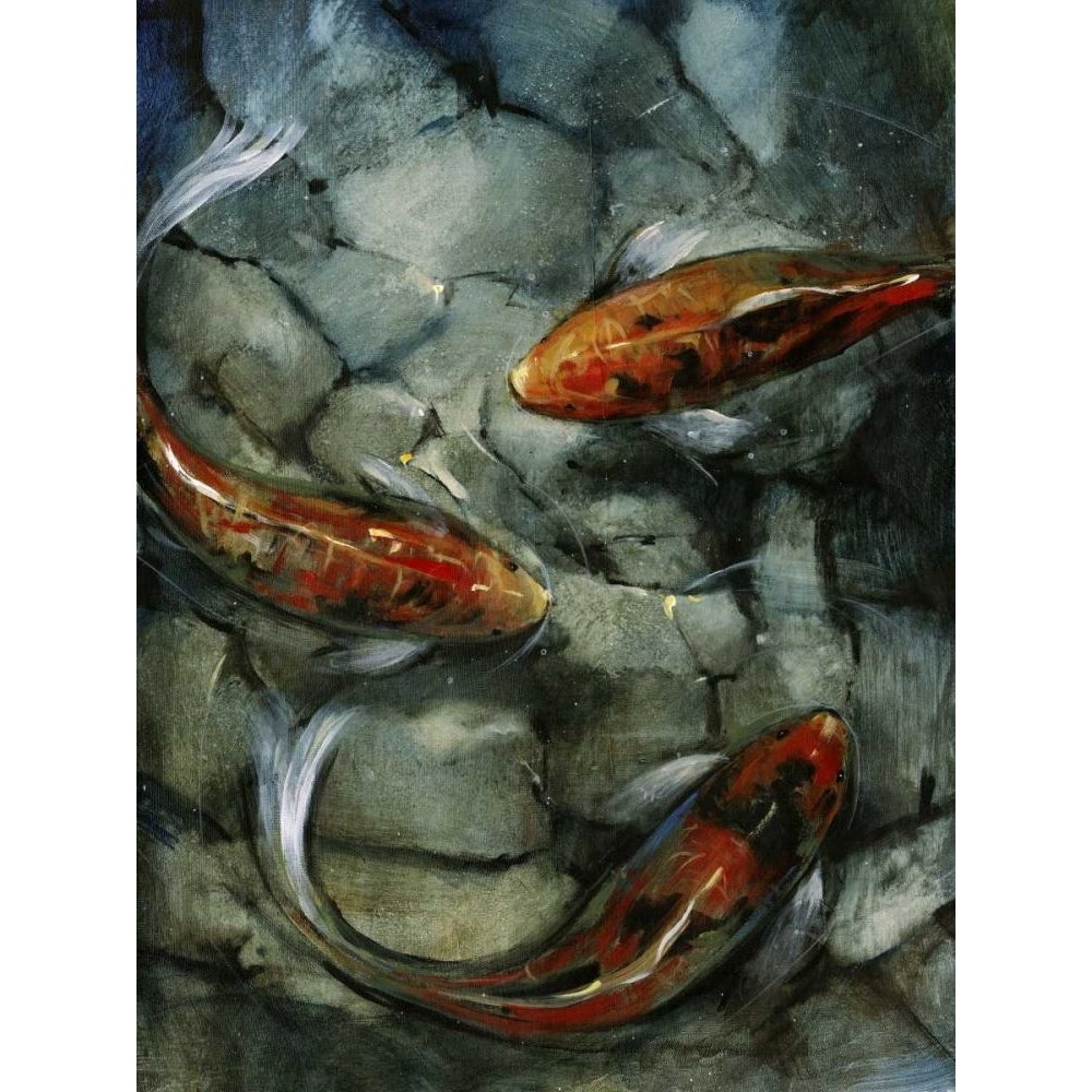 Tres Koi II Poster Print - Tim OToole-VARPDX29357Z Image 1