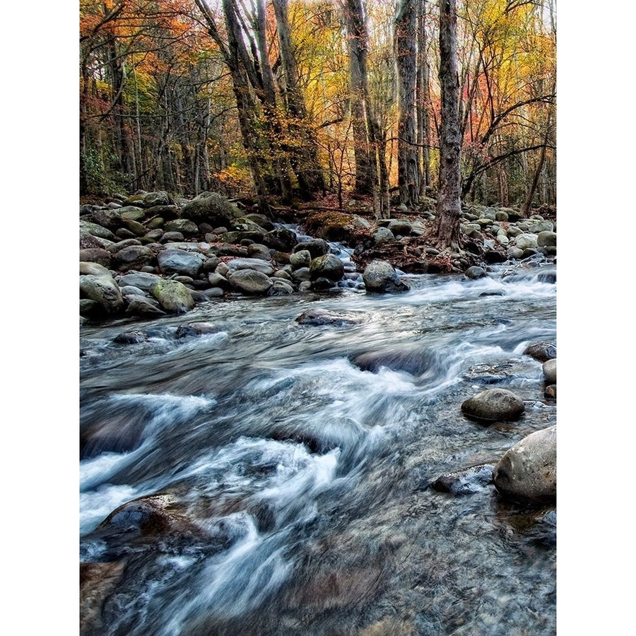 Porters Creek I Poster Print - Danny Head-VARPDX29774Z Image 1