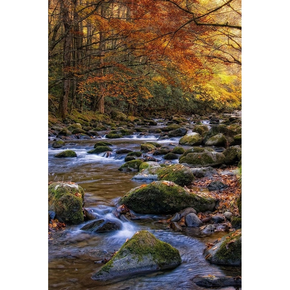 Autumn on Little River Poster Print - Danny Head-VARPDX29776Z Image 1