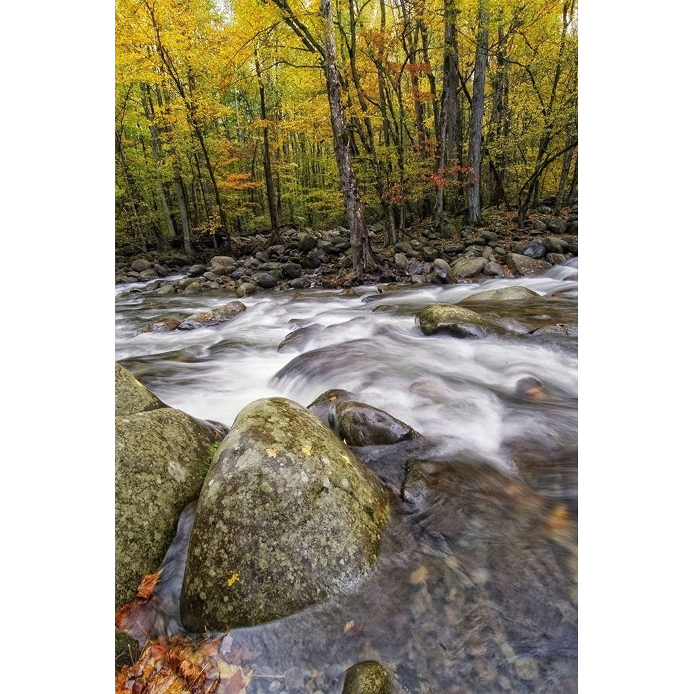 Roaring Waters I Poster Print - Danny Head-VARPDX29786Z Image 1