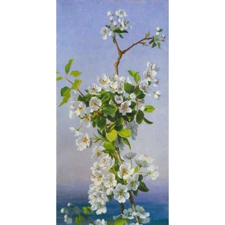 Blossom I Poster Print by Sophie Anderson-VARPDX2AA1086 Image 2