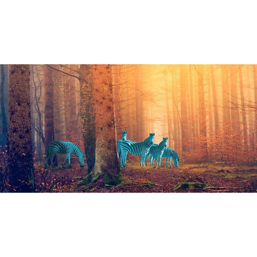 In the woods Poster Print by Arlo Wren Photos-VARPDX2AP4336 Image 1