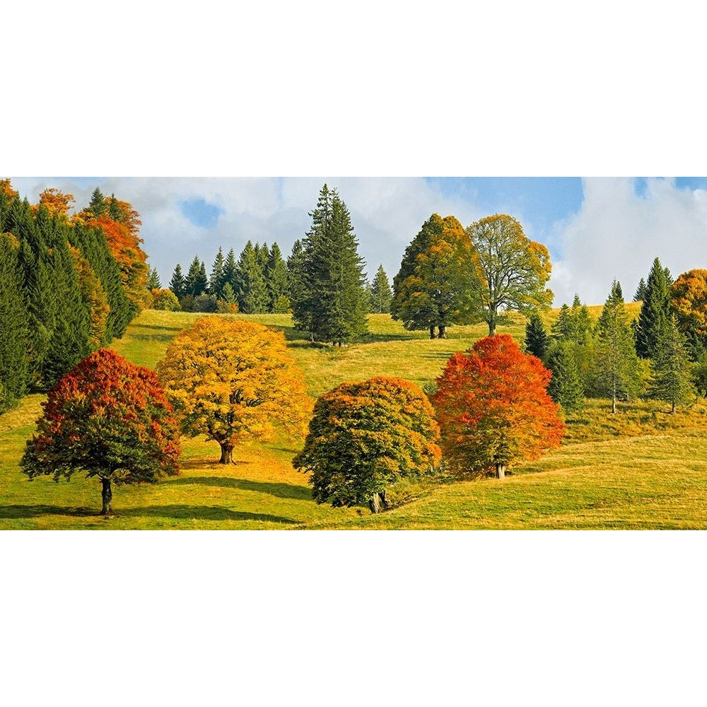 Autumn in Quebec Poster Print - Pangea Images-VARPDX2AP6159 Image 1