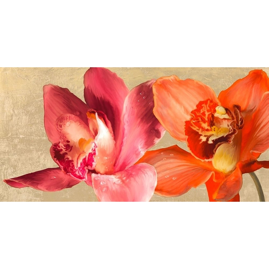 Two Orchids Poster Print by Andrea Antinori-VARPDX2AT5337 Image 1