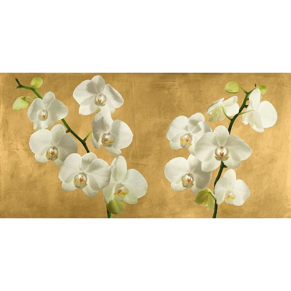 Orchids on a Golden Background by Andrea Antinori-VARPDX2AT5747 Image 1