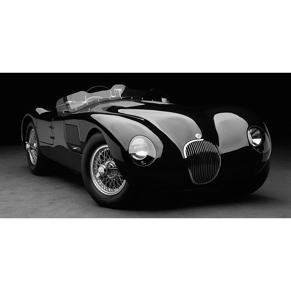 1951 Jaguar C-Type-VARPDX2DH5377 Image 1