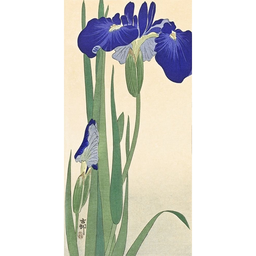 Irises Poster Print by Ohara Koson-VARPDX2JP5032 Image 1