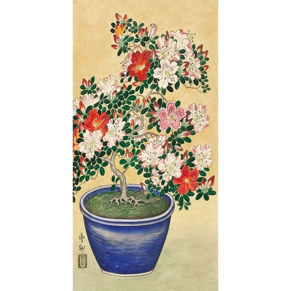 Blooming azalea in blue pot Poster Print by Ohara Koson-VARPDX2JP5030 Image 1