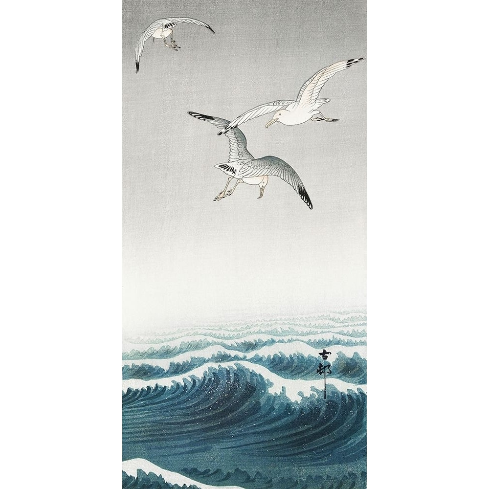 Three seagulls by Ohara Koson-VARPDX2JP5687 Image 1