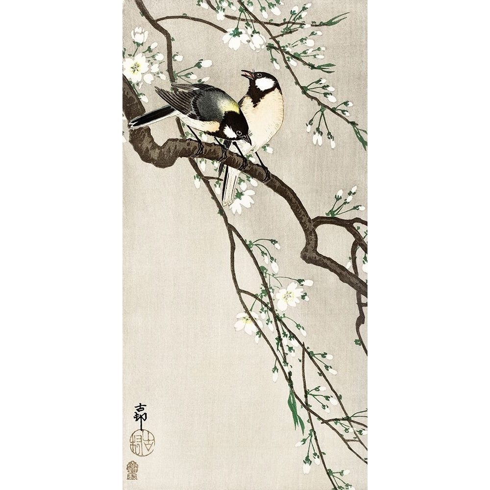 on Cherry Branch Poster Print - Ohara Koson-VARPDX2JP6340 Image 1