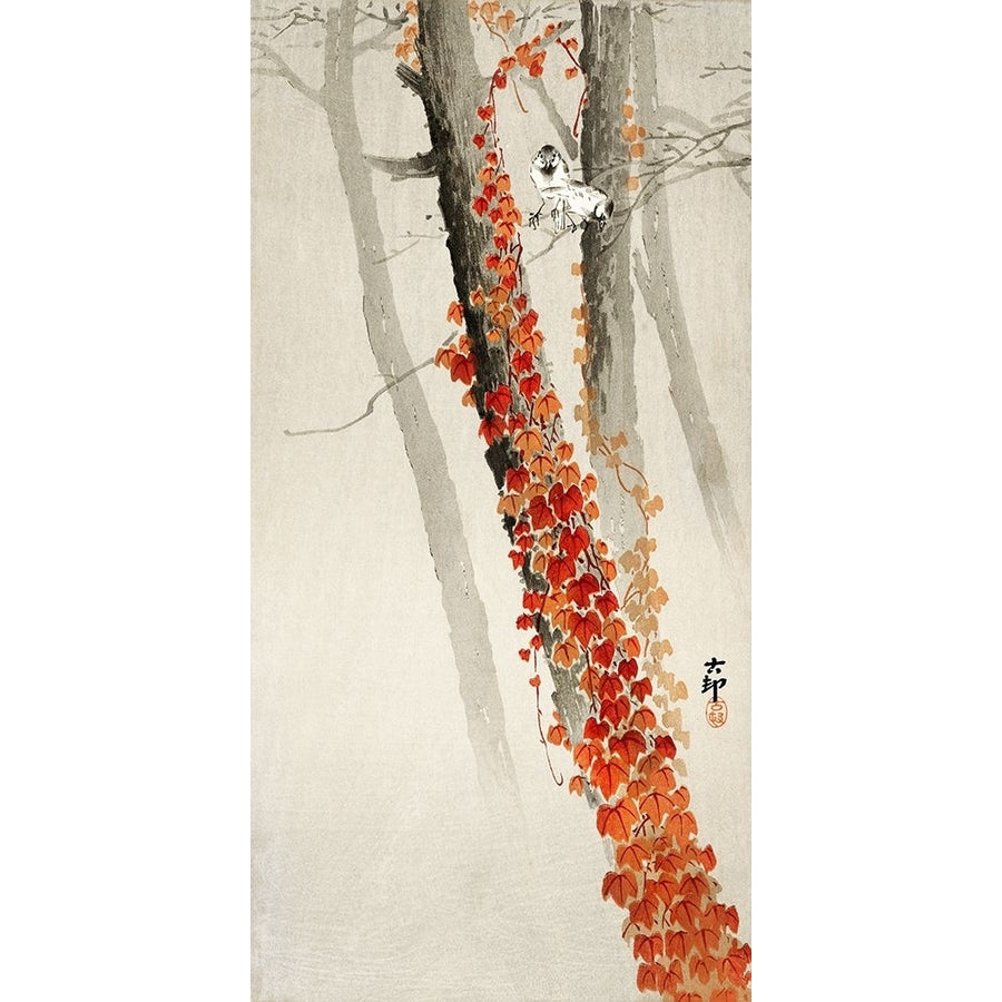 Red Ivy Poster Print - Ohara Koson-VARPDX2JP6338 Image 1