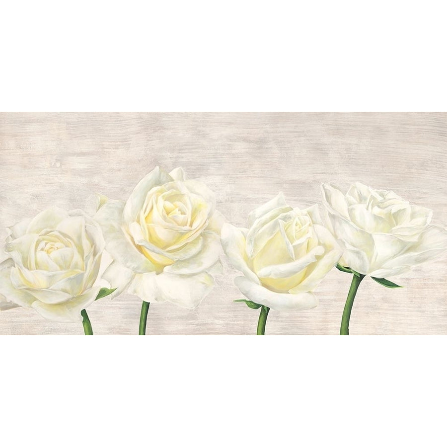 Classic Roses Poster Print by Thomlinson Jenny-VARPDX2JT4920 Image 1